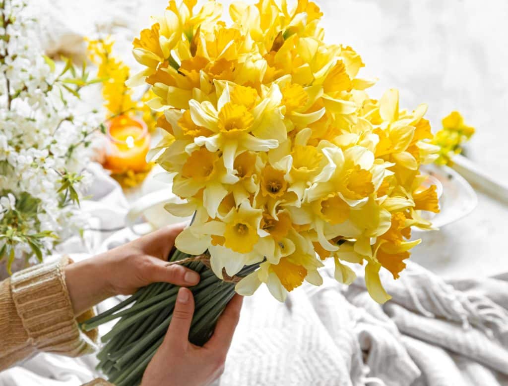 daffodils bouquet scaled e1745398956380