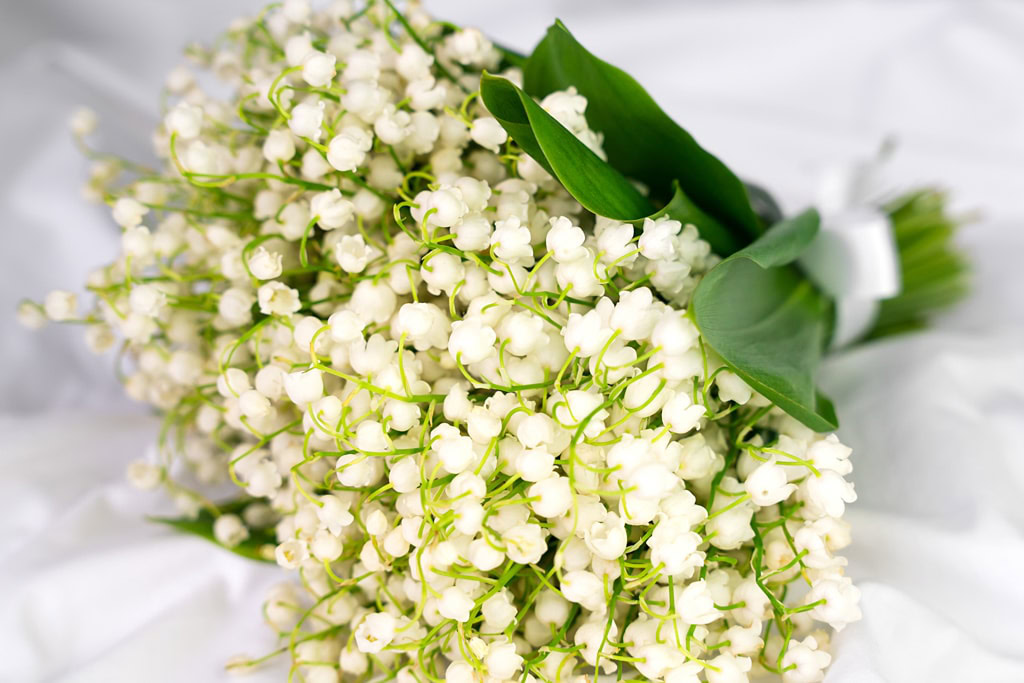 close up of a bouquet of lily of the valley