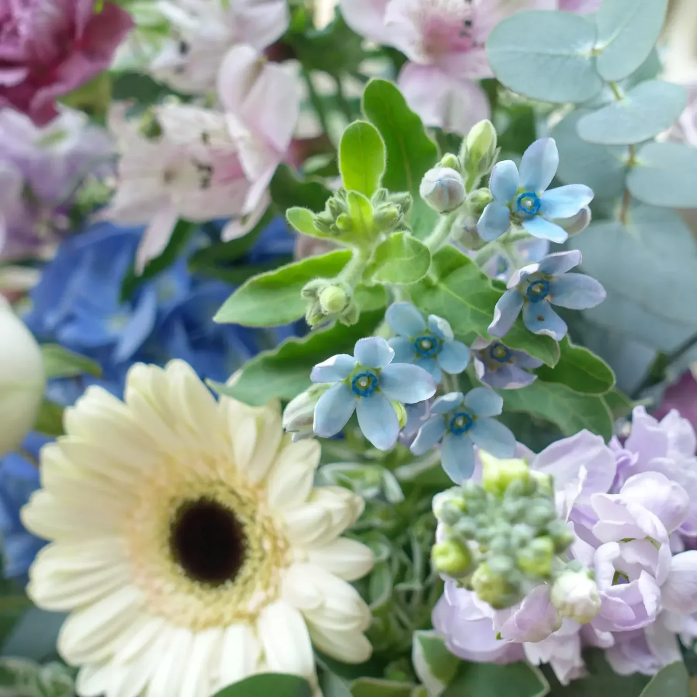 Delicate blue and white flowers symbolize serenity and peace, perfect for a calming floral arrangeme.