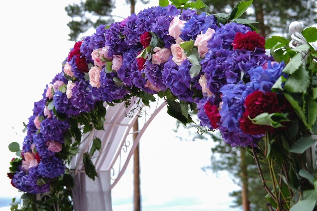 Beautiful floral arrangement with purple, pink, and red blooms for sincere apologies.
