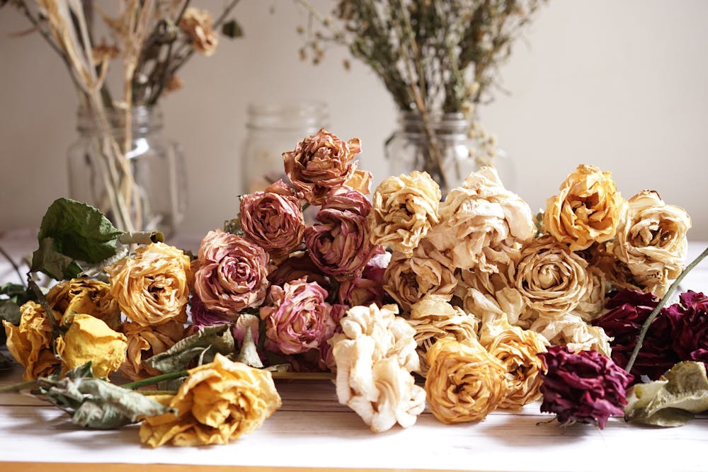 Dried roses and flowers arranged on a table at Jubilant Fields Floral Studio.