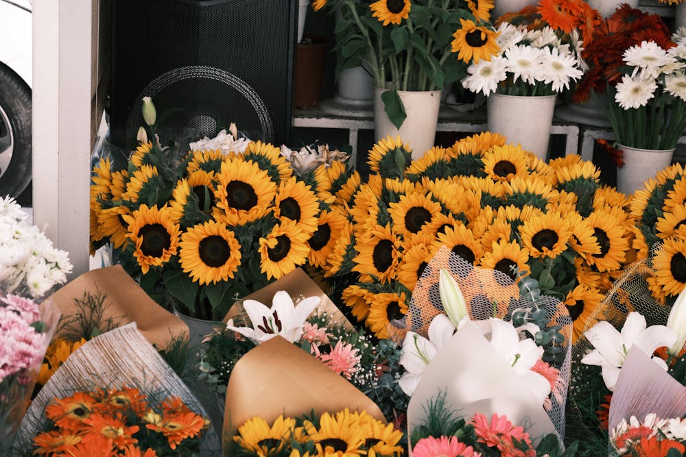 Vibrant sunflower bouquets at Jubilant Fields Floral Studio, showcasing the beauty of sunflowers.